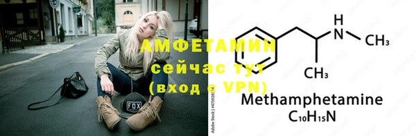 ГАЛЛЮЦИНОГЕННЫЕ ГРИБЫ Аркадак
