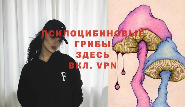 ГАЛЛЮЦИНОГЕННЫЕ ГРИБЫ Аркадак