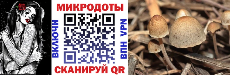 Галлюциногенные грибы Magic Shrooms Новоаннинский